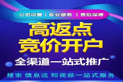 SEM专员案例深度解读